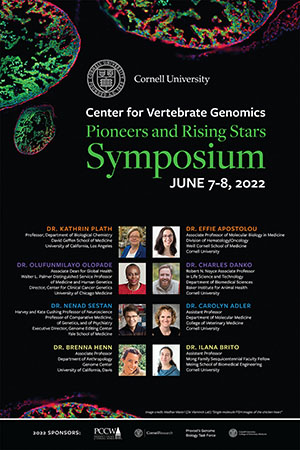 Symposium Poster thumbnail