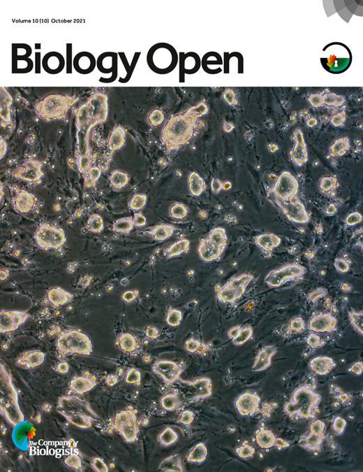 Biology Open Volume 10 Issue 10