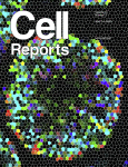 Cell Reports Volume 31 Issue 2
