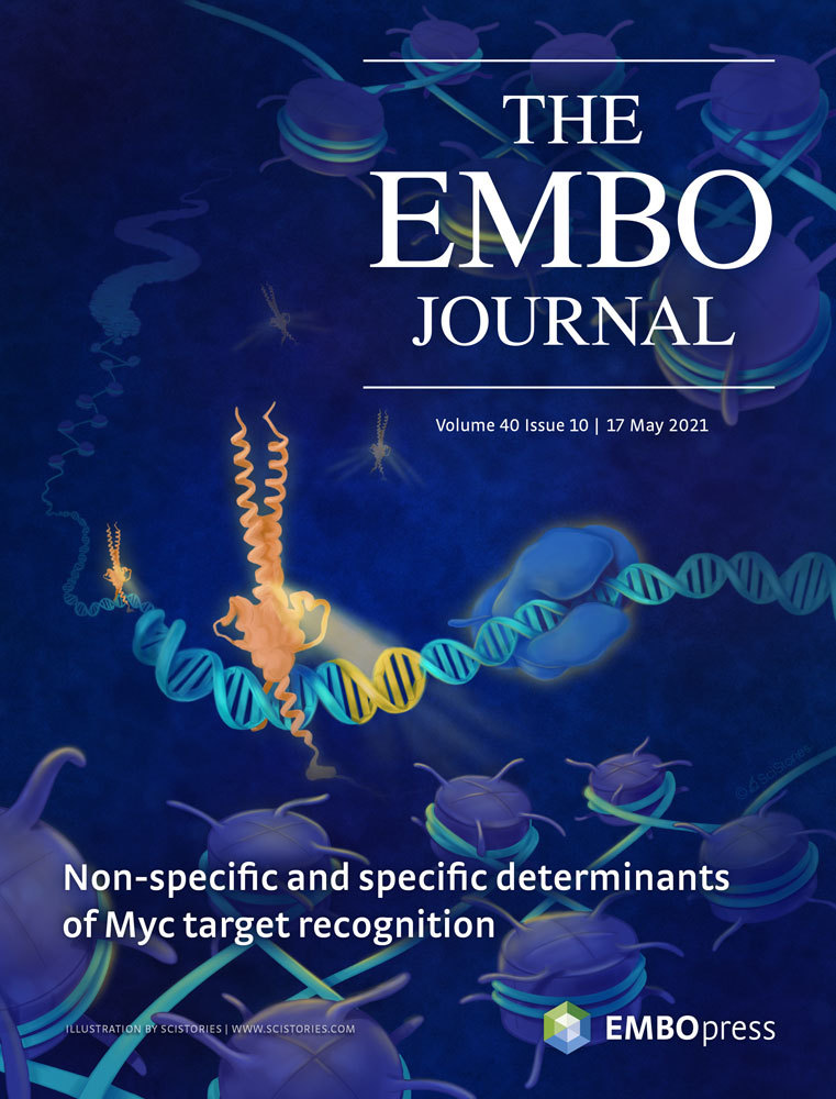 EMBO Journal Volume 40 Issue 10