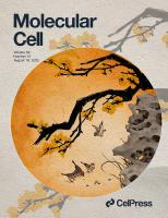 Molecular Cell August 2022