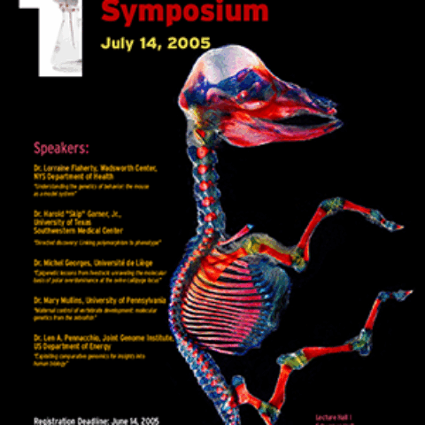 Promotional poster featuring a developing horse embryo.