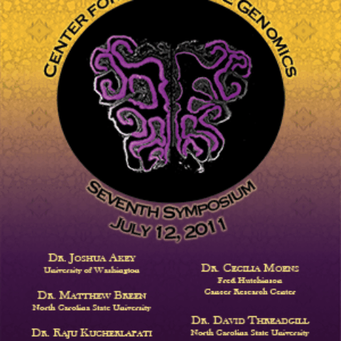 mouse epithelial section poster