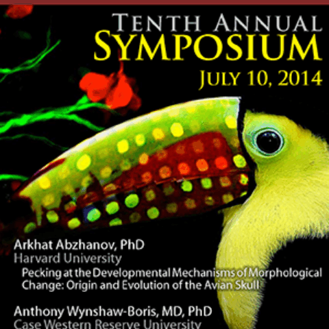 symposium poster with a toucan